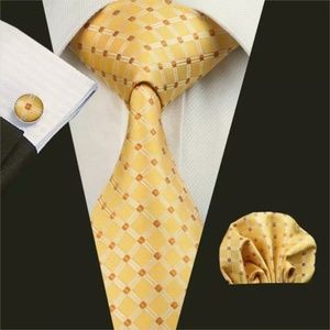 Men Neckties Sets